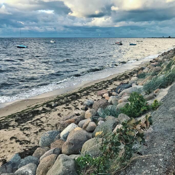Urban Jungle Taras- Luksusowy W Gdyni. * Gdynia