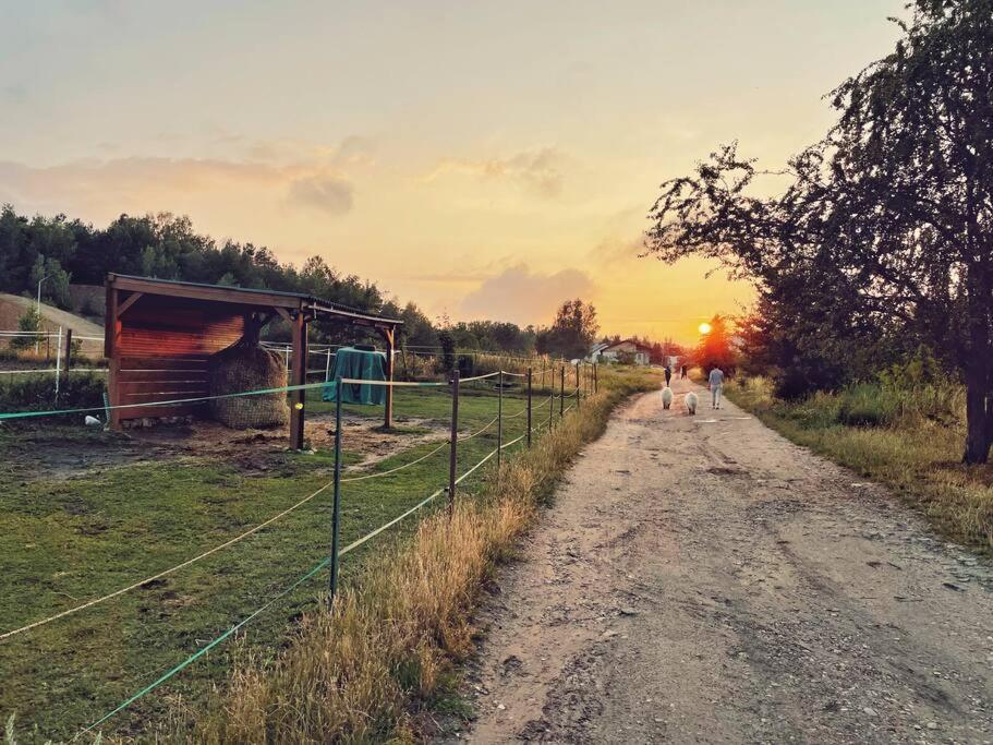 Urban Jungle Taras- Luksusowy W Gdyni.
