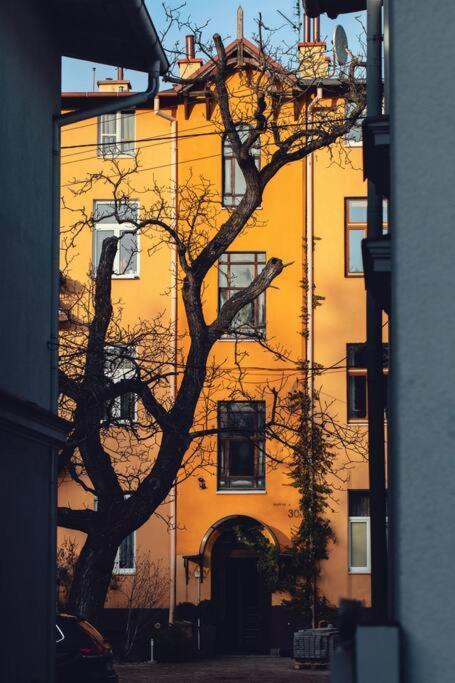Urban Jungle Taras- Luksusowy W Gdyni. * Gdynia