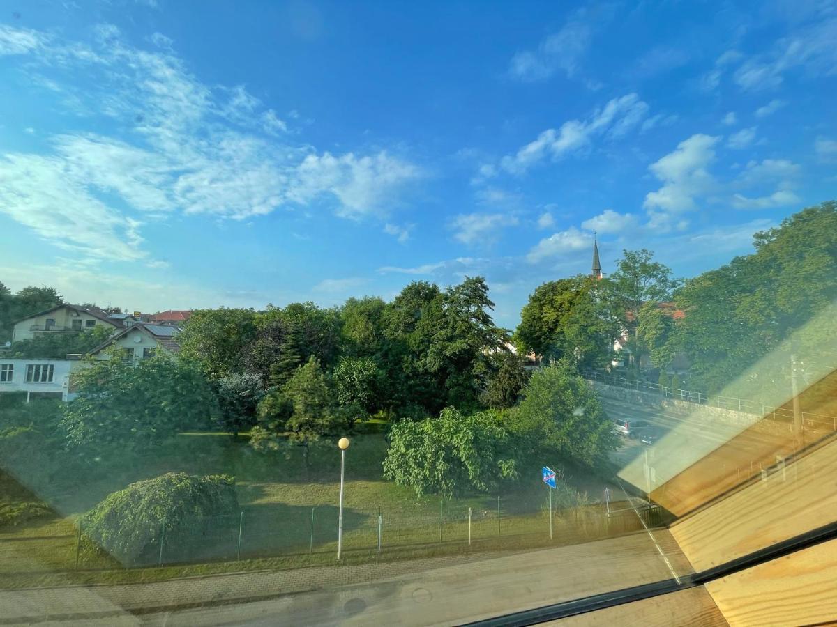 Urban Jungle Taras- Luksusowy W Gdyni. Apartment *